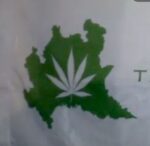 lombardia, legalizzazione cannabis