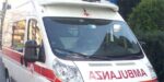 ambulanza repertorio. cani aggrediscono donna