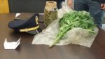 Marijuana sequestrata dalla polizia di Stato. Foto di repertorio