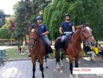 Polizia a cavallo, arrestano ricercato al parco Martesana