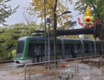 albero caduto sul tram