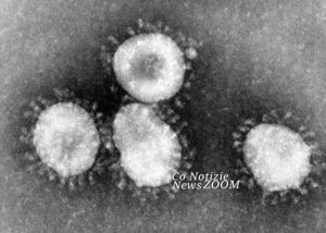 Coronavirus