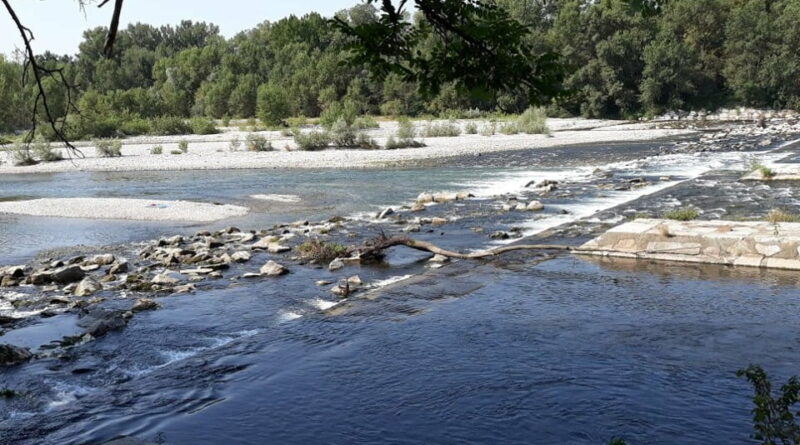 . La siccità mette a rischio le produzioni agricole e l'ecosistema delle zone del Ticino - 27/08/2020