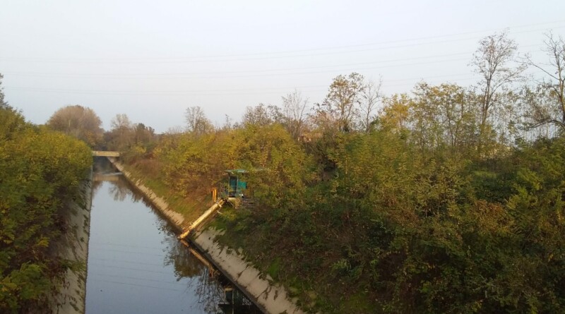 . Il cane nel canale, la padrona cerca di tirarlo fuori. Ad Albairate - 06/11/2020