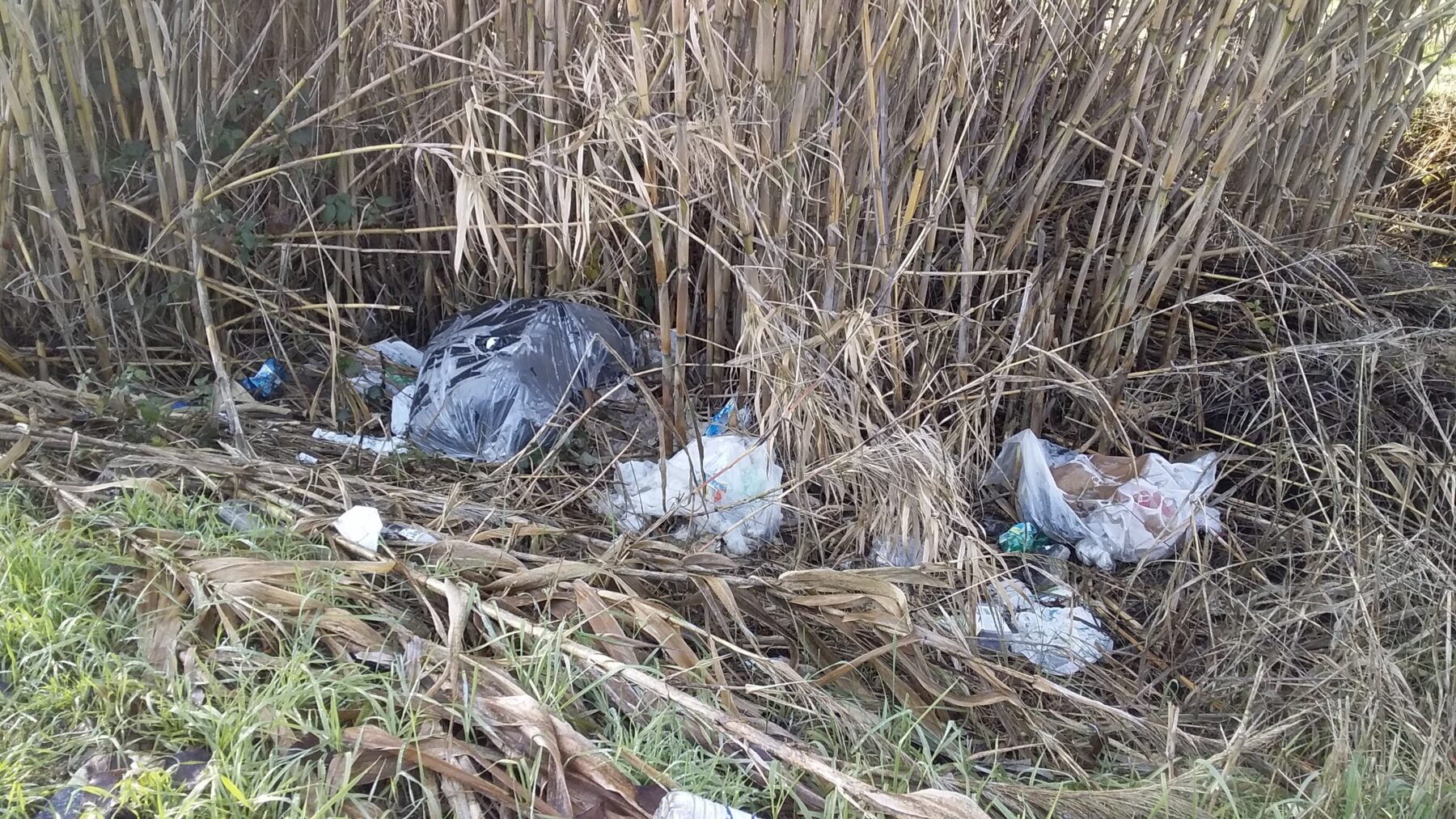 discarica. Discarica a cielo aperto. Trezzano sul Naviglio - 27/12/2020