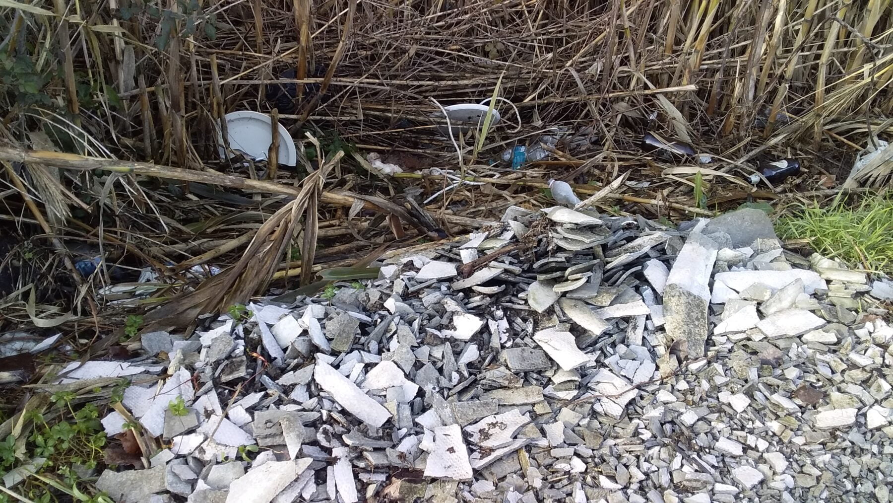 discarica. Discarica a cielo aperto. Trezzano sul Naviglio - 27/12/2020