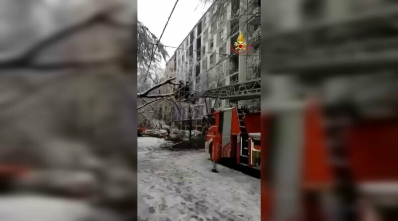 . A causa della neve alberi cadono sulla piattaforma dell'Atm. Ferita una donna - 28/12/2020