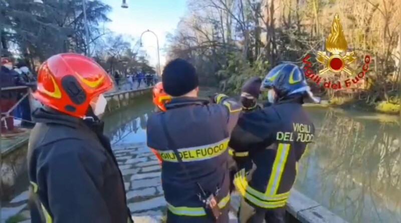 . L' airone cenerino Bollicino preso all'amo. Lo salvano i vigili del fuoco - 26/12/2020