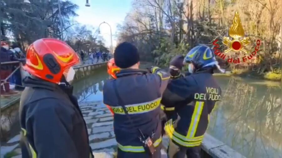 L’ airone cenerino Bollicino preso all’amo. Lo salvano i vigili del fuoco