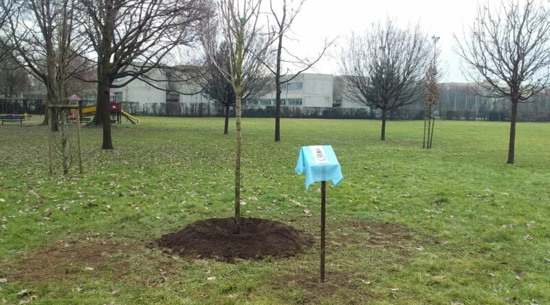 . Un albero al parco a ricordo delle vittime Covid. Corbetta - 04/02/2021