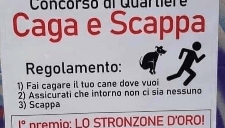 cacche di cane. Le cacche di cane a Ossona stanno facendo davvero arrabbiare tutti - 25/03/2021