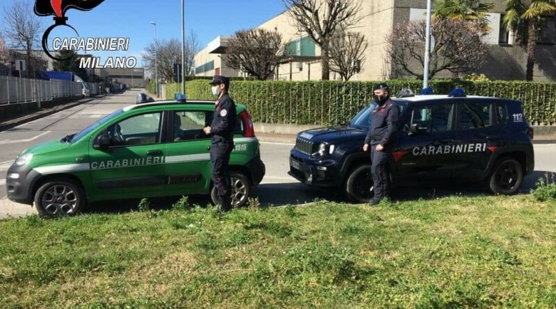 ambiente. I carabinieri assistono 5 gabbiani feriti. Trezzo sull'Adda - 17/03/2021