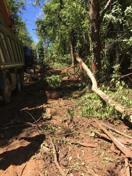 Casorezzo. Fanno una strada e sbagliano bosco…