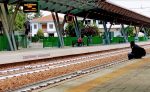 Incidente ferroviario. Gambe sfracellate dal treno perchè era seduto sul ciglio della banchina della stazione