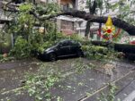 Temporali a Milano, ancora alberi caduti in città e in provincia, eppure…