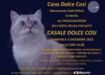 Casale Dolce Cosi di Cosetta Bosi. Hotel Resort per gatti a Ozzero: benessere, coccole e sostenibilità