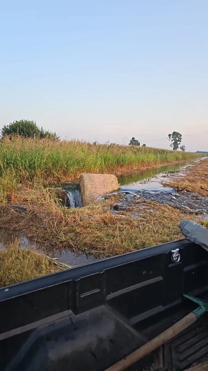 canale Villoresi,vandalismo. Vandalismo al Derivatore del canale Villoresi di Cuggiono. Gravi danni ai campi di mais rimasti senz'acqua per colpa degli incivili - 02/08/2024