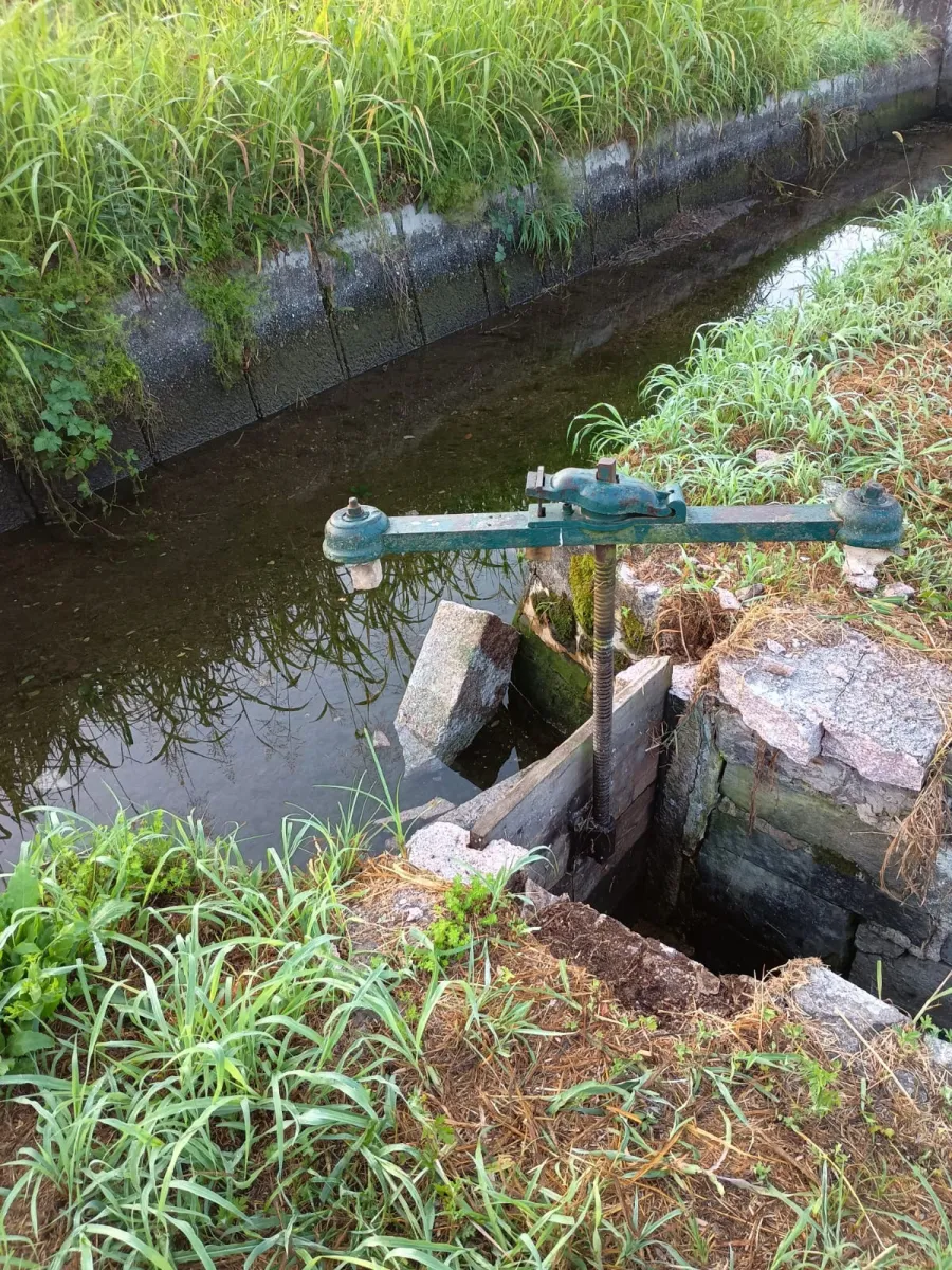 canale Villoresi,vandalismo. Vandalismo al Derivatore del canale Villoresi di Cuggiono. Gravi danni ai campi di mais rimasti senz'acqua per colpa degli incivili - 02/08/2024