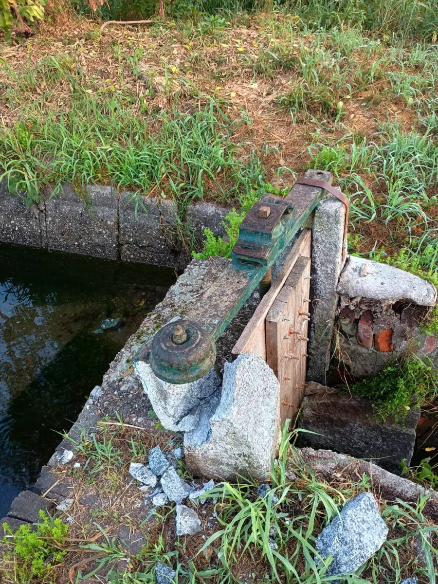 canale Villoresi,vandalismo. Vandalismo al Derivatore del canale Villoresi di Cuggiono. Gravi danni ai campi di mais rimasti senz'acqua per colpa degli incivili - 02/08/2024