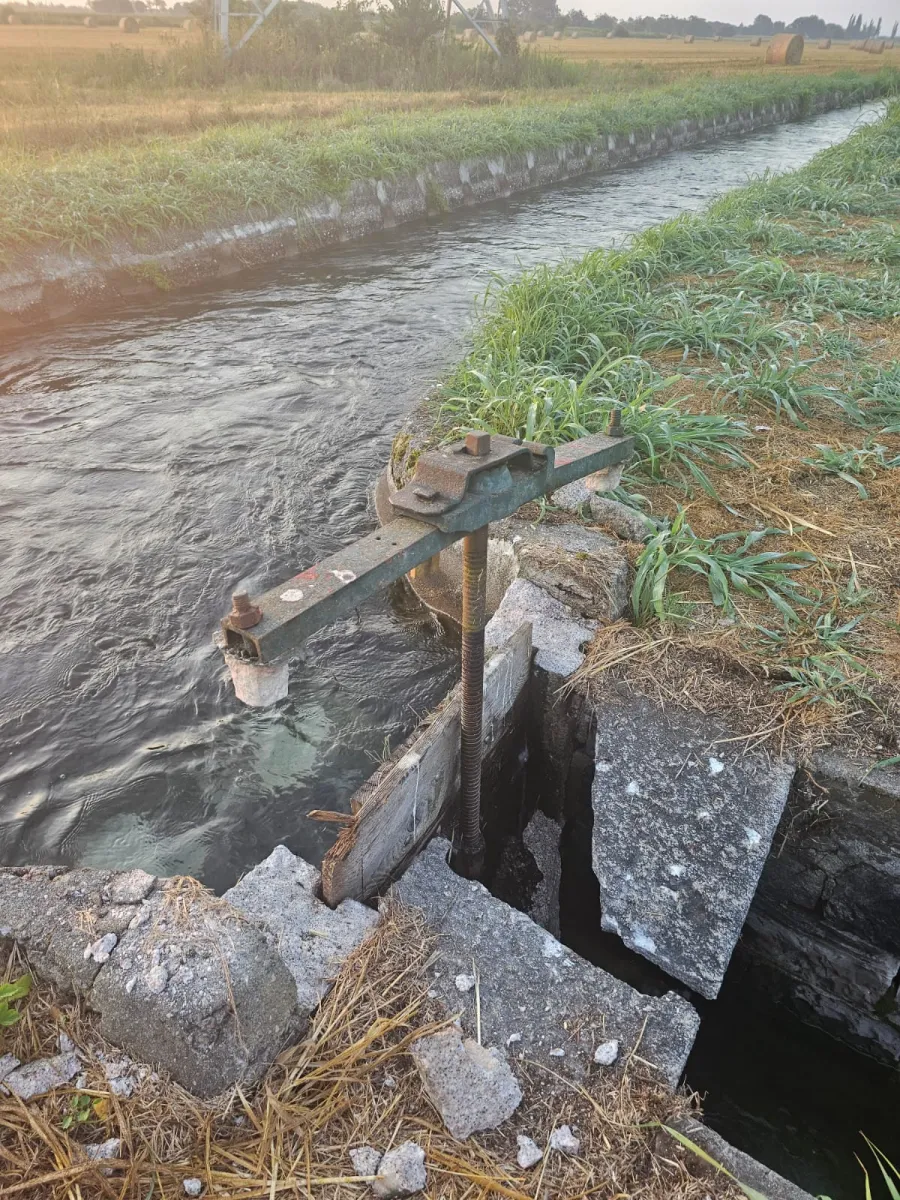 canale Villoresi,vandalismo. Vandalismo al Derivatore del canale Villoresi di Cuggiono. Gravi danni ai campi di mais rimasti senz'acqua per colpa degli incivili - 02/08/2024