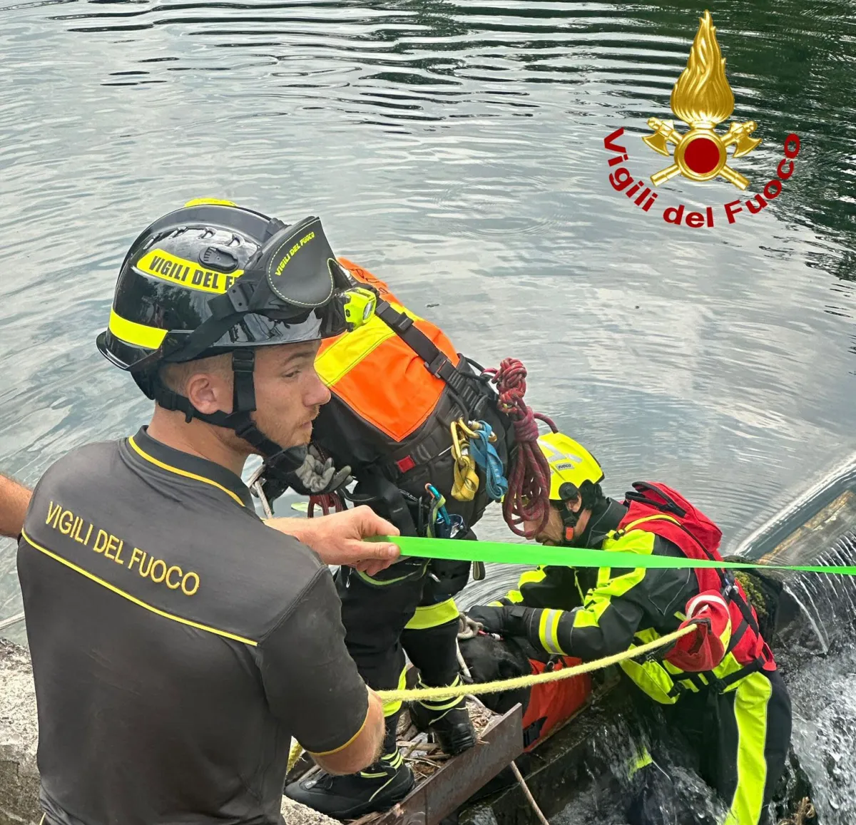 vigili del fuoco. I vigili del fuoco salvano un cane caduto nel canale - 05/08/2024