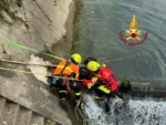 I vigili del fuoco salvano un cane caduto nel  canale