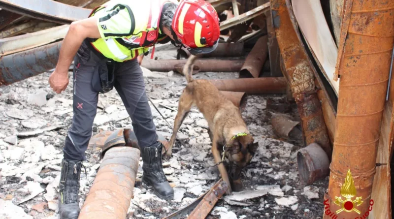 unità cinofila,accelerante,omicidio. Una Unità Cinofila per l'incendio di Via Cantoni. Erano morti 3 ragazzi. Omicidio? - 16/09/2024