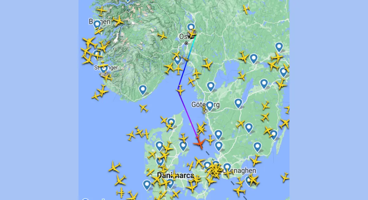 Dirottamento aereo. E’ stato un topolino clandestino