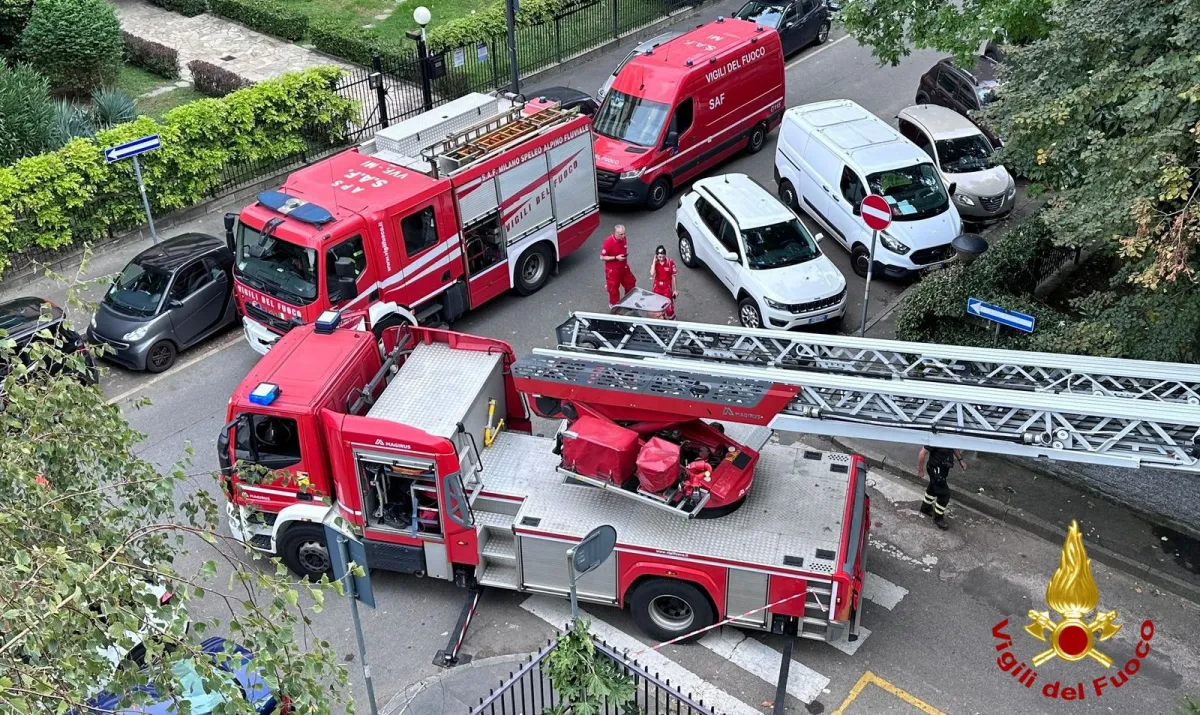 vigili del fuoco,barella. Soccorsi speciali dei Vigili del fuoco a Milano. Con la barella bariatrica salvano un uomo di 220 kg - 22/09/2024