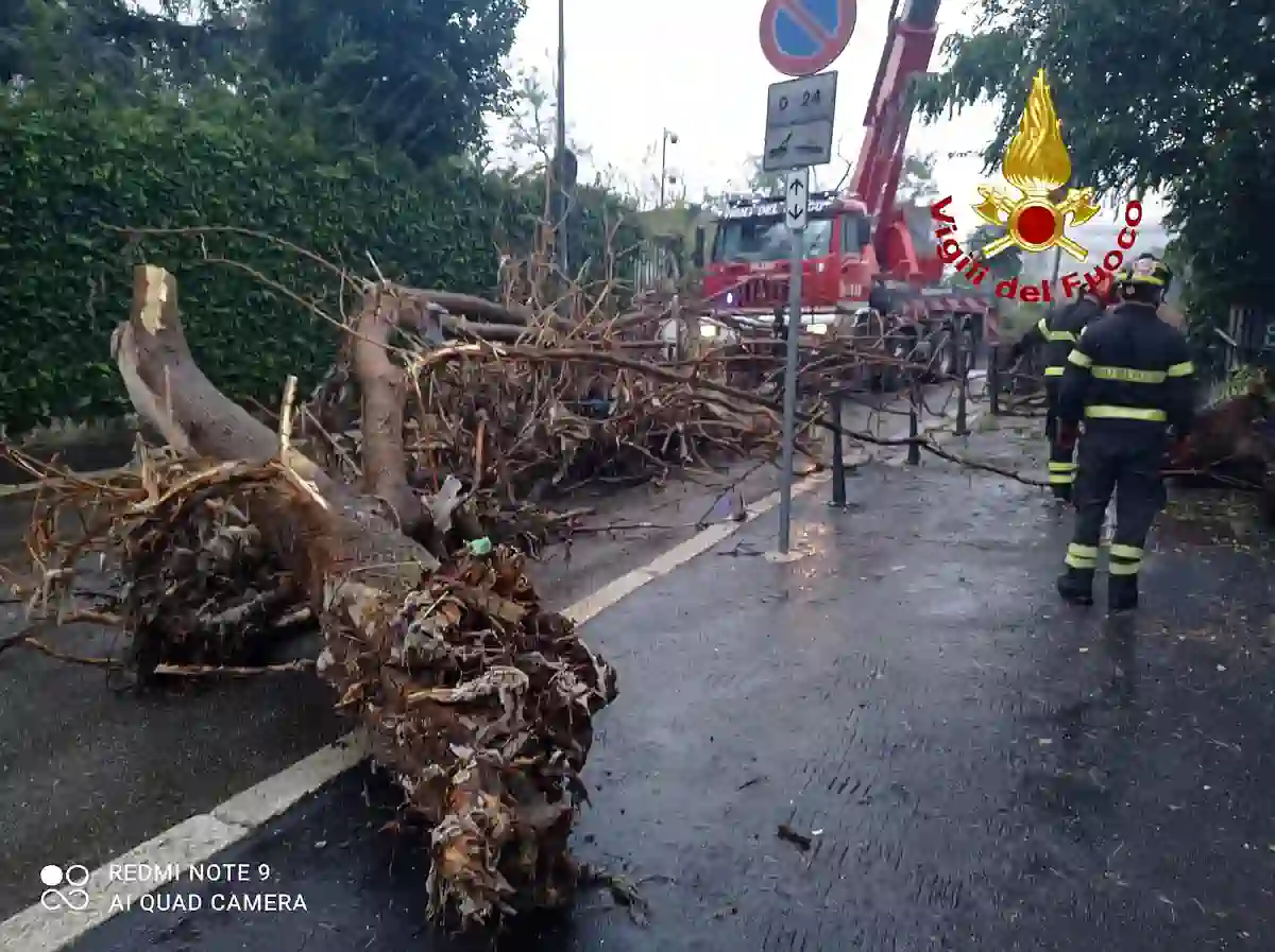 Vigili del fuoco al lavoro sul Lambro. tronco