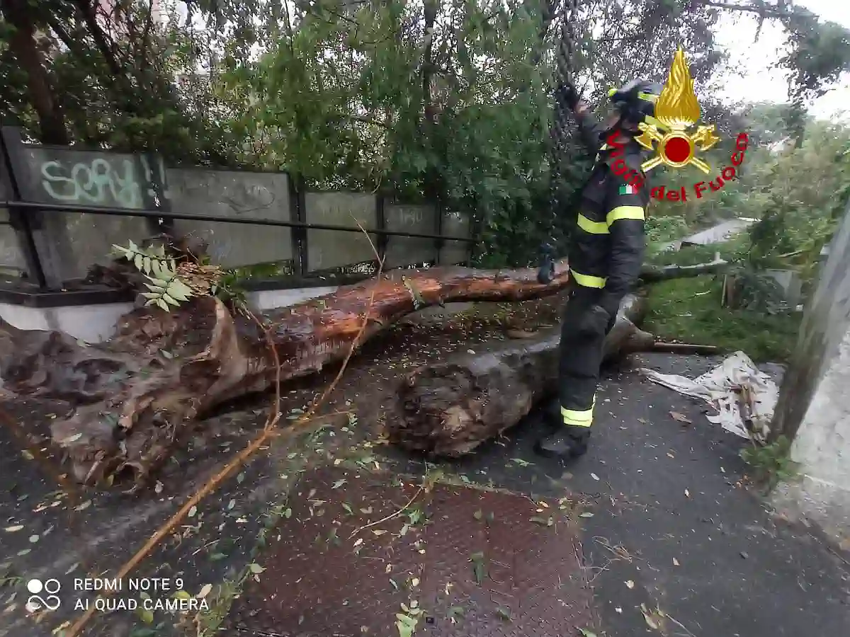 Vigili del fuoco al lavoro sul Lambro