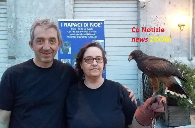 Eventi. Falconeria protagonista a "Negozi sotto le stelle", a Magenta - 21/06/2019